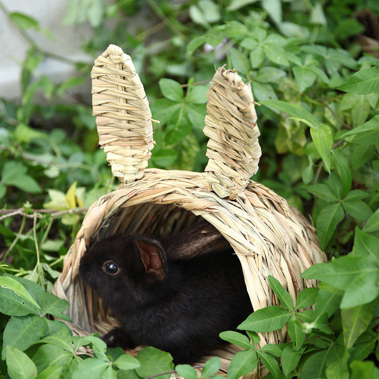 Happy Bunnies Chewable Pet Rabbit Handmade Straw Woven Tunnel with Bunny Ears in Size Small 8” x 8” x 7” / Medium 10” x 10” x 9”