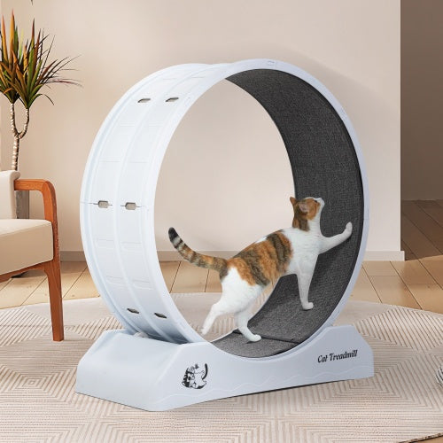 Just Meow Small Animal Sports Cat Luxury Running Wheel Treadmills With Locking Mechanisms, Carpet Tracks, Cat Teasing Toys White 31" x 13" x 34"