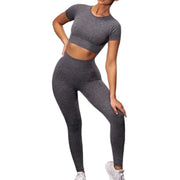 Seamless Yoga Sport Set Full Leggings and Short Sleeve Top Color Orange, Beige, Soft Pink, Blue, Grey, Purple Size S, M, L